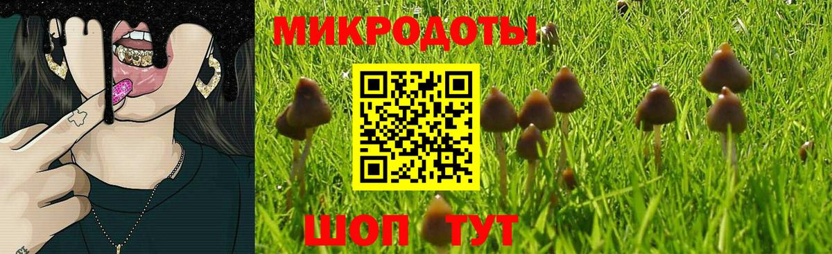 Галлюциногенные грибы Cubensis Моздок